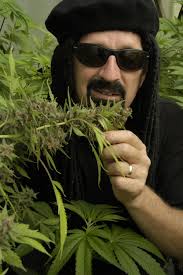 Jorge Cervantes una leggenda nel campo della Cannabis Medicale.